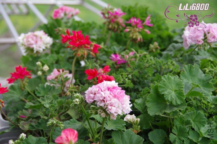 nEO_IMG_Ⱥ��0430 (2).jpg