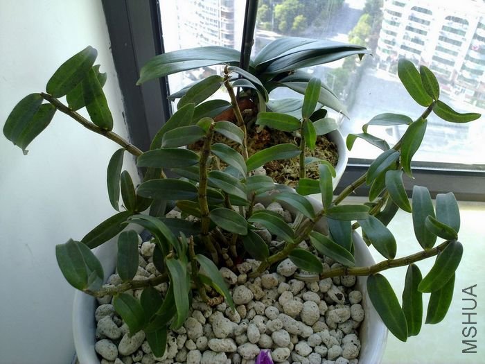 20120401832.jpg