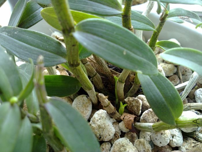 20120501866.jpg
