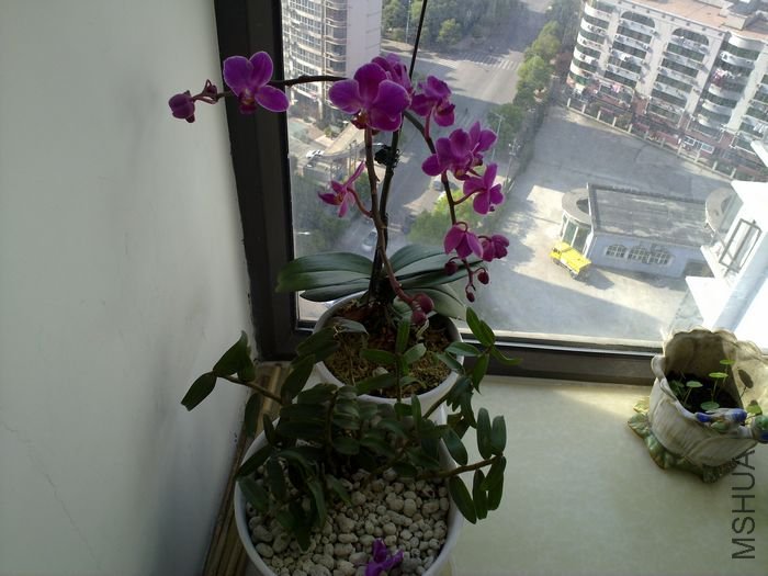 20120401834.jpg