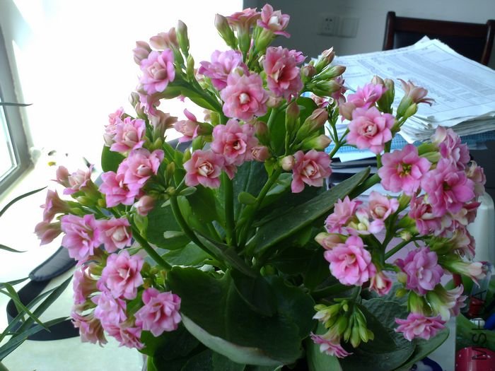 20120401835.jpg