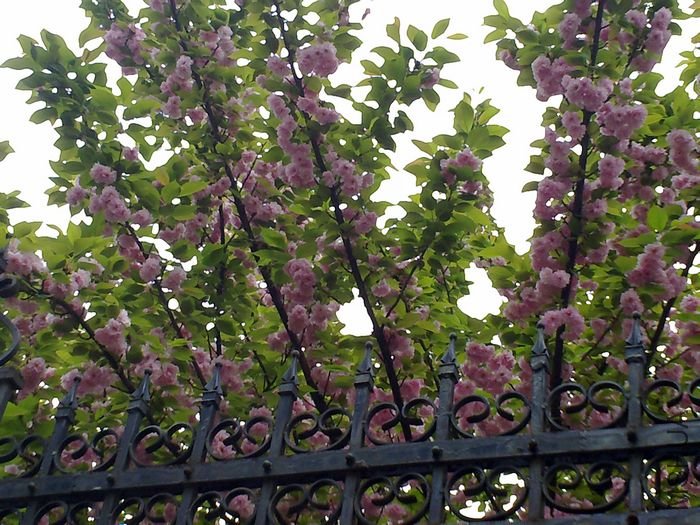 20120412841.jpg