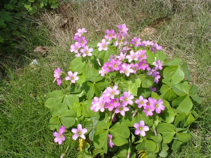20120427843.jpg