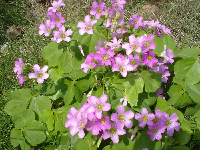 20120427844.jpg