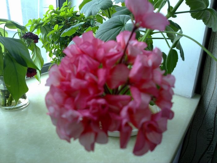 20120501846.jpg
