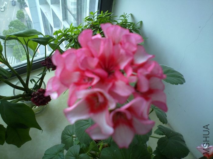 20120501850.jpg