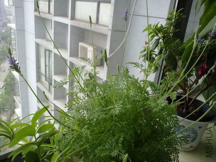 20120501851.jpg