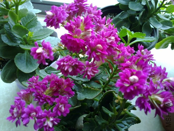 20120501853.jpg