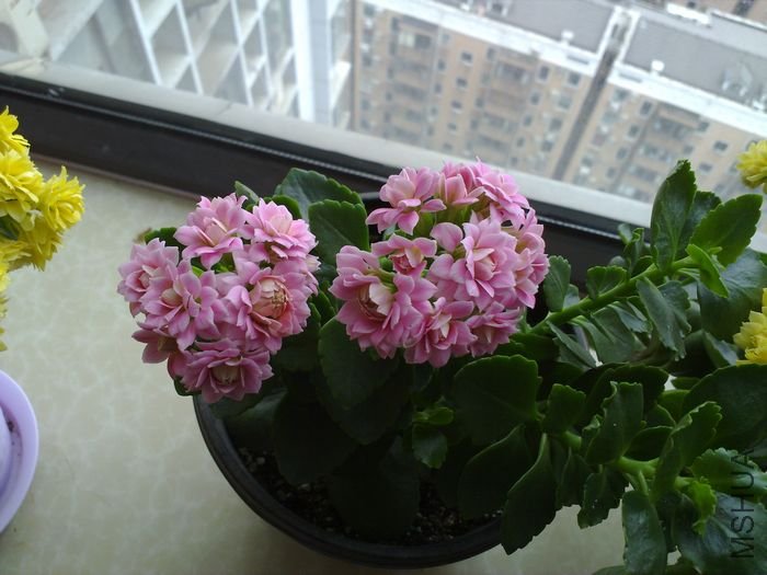 20120501857.jpg