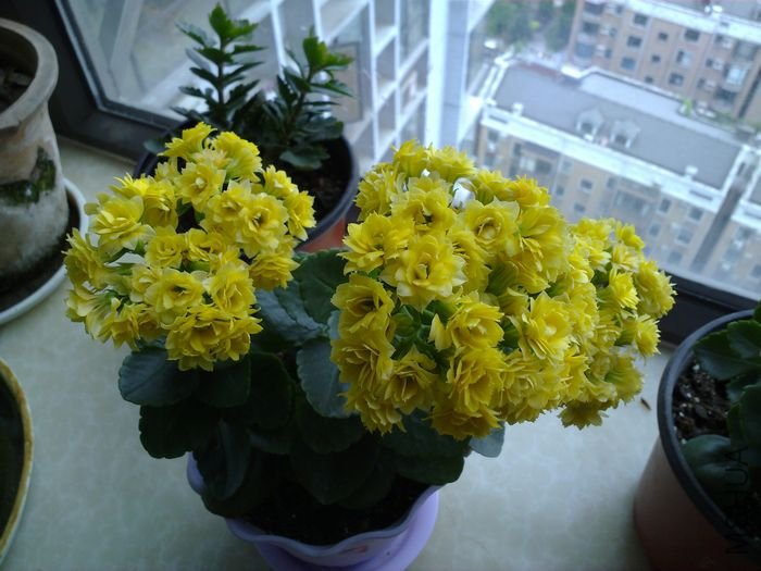 20120501858.jpg