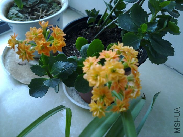 20120501859.jpg