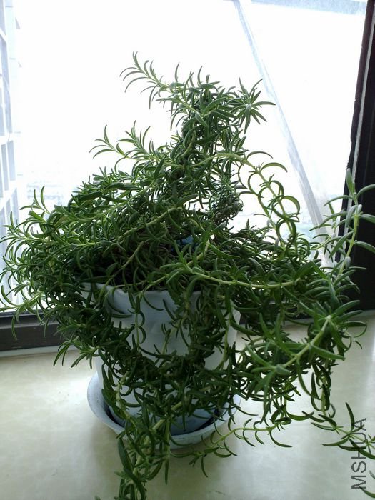 20120501861.jpg