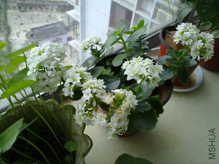 20120501862.jpg