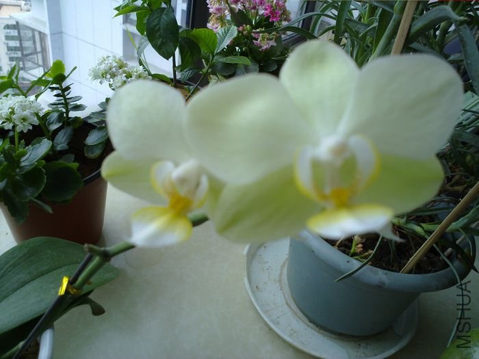20120501863.jpg
