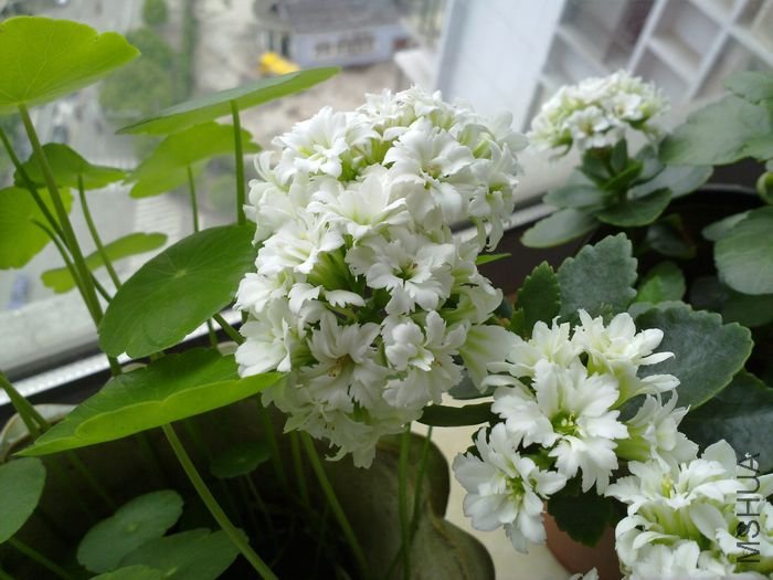 20120501869.jpg