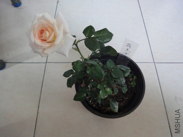 DSC00582.JPG