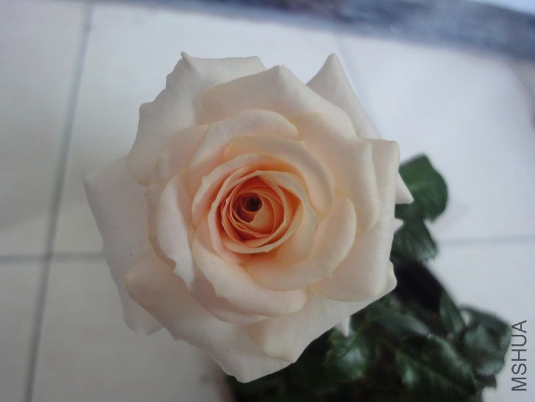 DSC00585.JPG