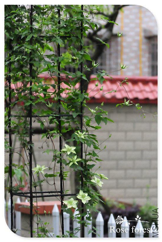 DSC_6812_����.jpg