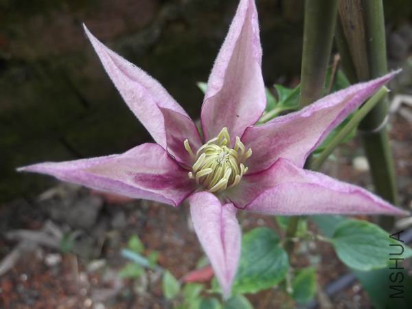 DSCF0671.jpg