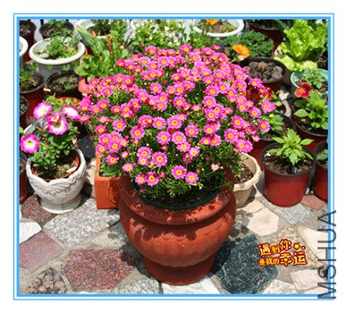 ��Ƭ 001_����_����.jpg