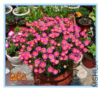 ��Ƭ 002_��������2_����.jpg