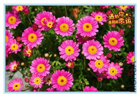 ��Ƭ 003_��������3_����.jpg