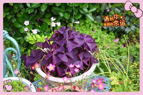 ��Ƭ 031_������.jpg