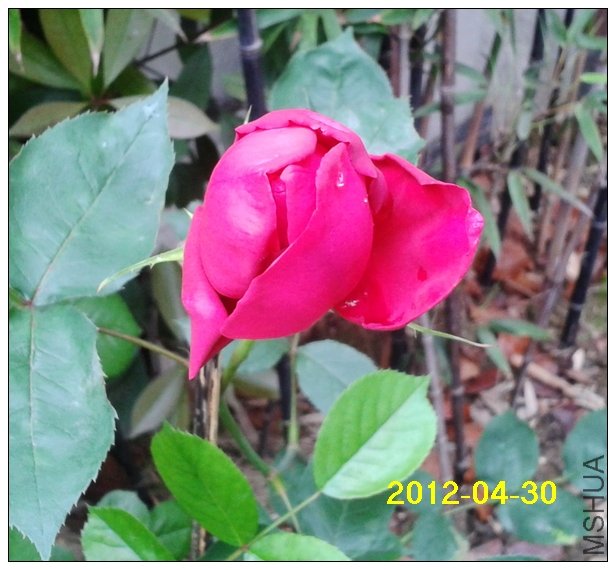 2012-04-30 09.30.30.jpg