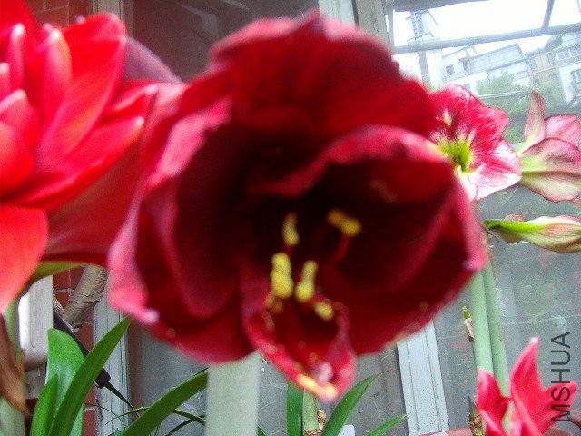 P3301427_conew1.jpg