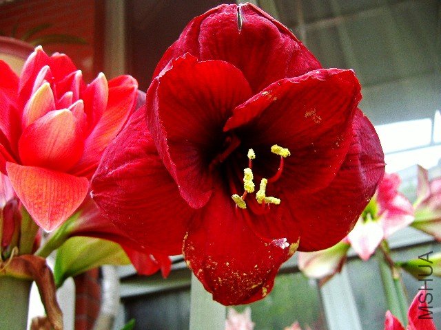 P3301435_conew1.jpg