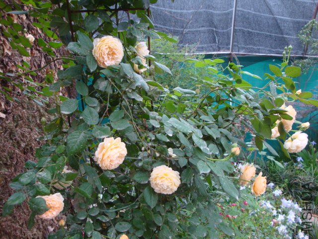 DSC00358.JPG