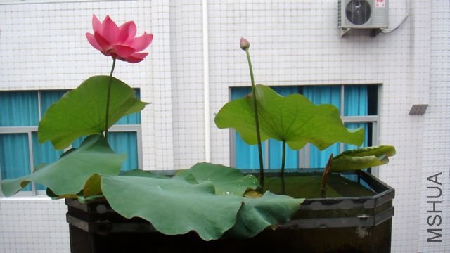 ���� 766.jpg