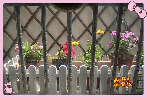 ��Ƭ 025_���� ��4.jpg