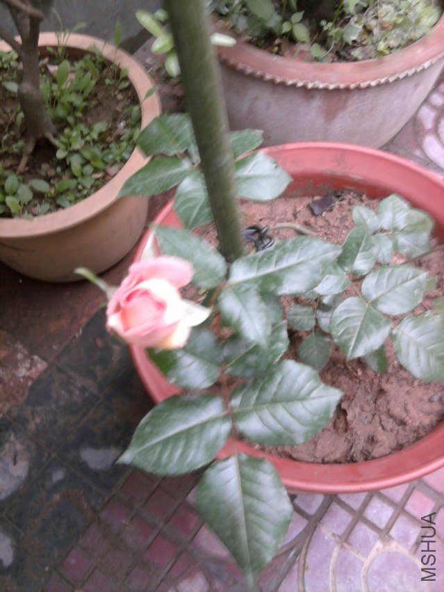 ��Ƭ0299.jpg