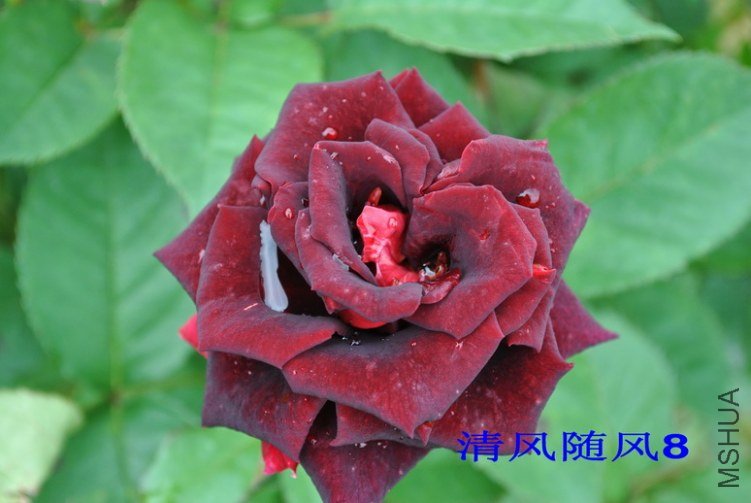 ������2 (2).jpg