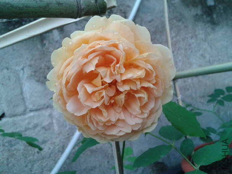 2012-04-29 07.09.01.jpg