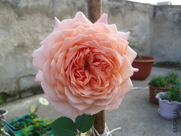2012-04-30 07.06.56.jpg