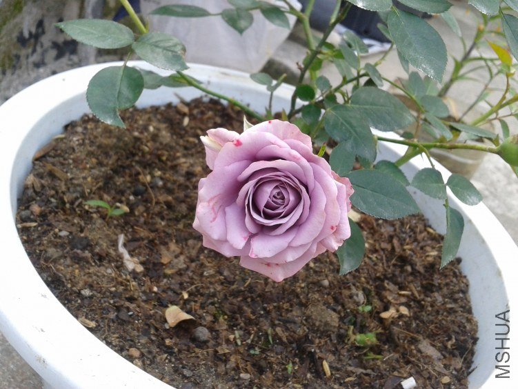 2012-04-26 08.21.56.jpg