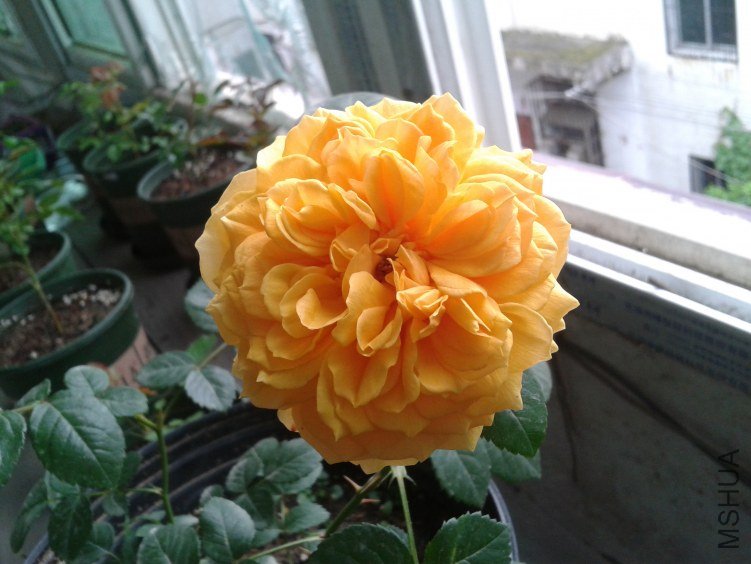 2012-04-29 07.19.21.jpg