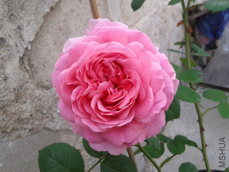 2012-04-30 07.07.43.jpg