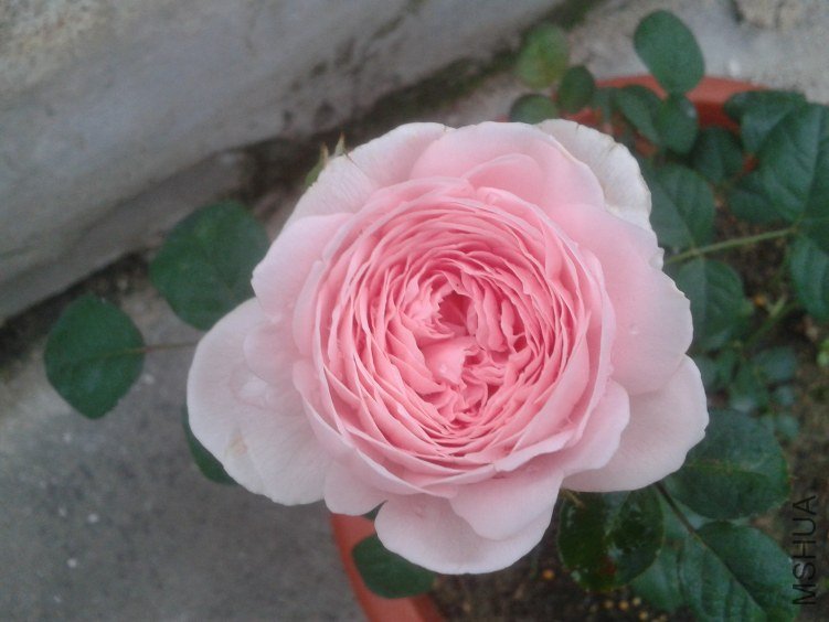 2012-05-02 06.50.47.jpg