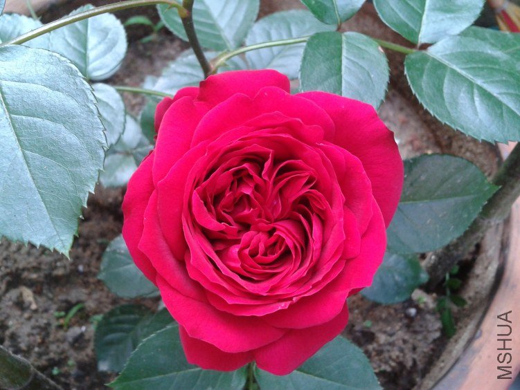 2012-04-30 08.12.04.jpg
