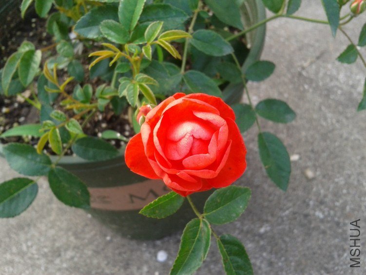 2012-04-30 07.09.27.jpg
