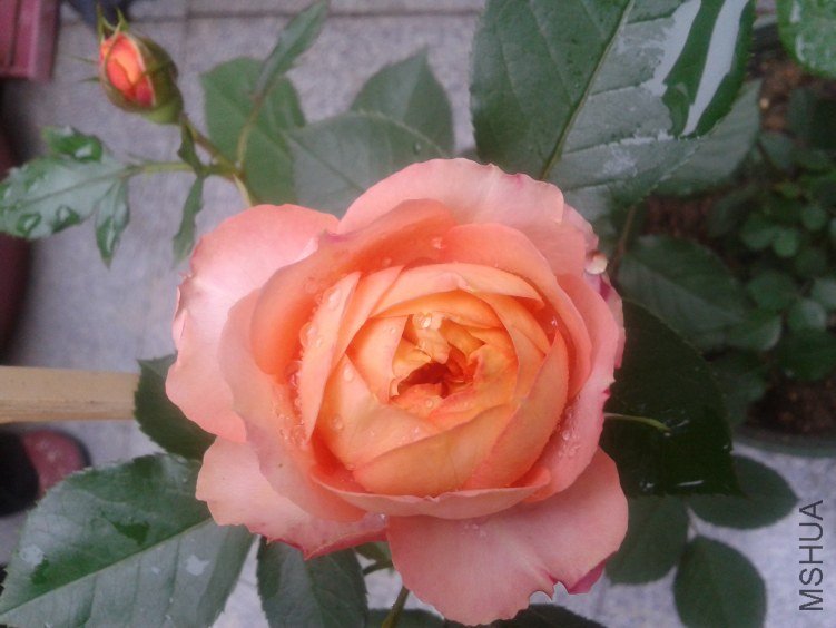 2012-05-01 08.06.08.jpg