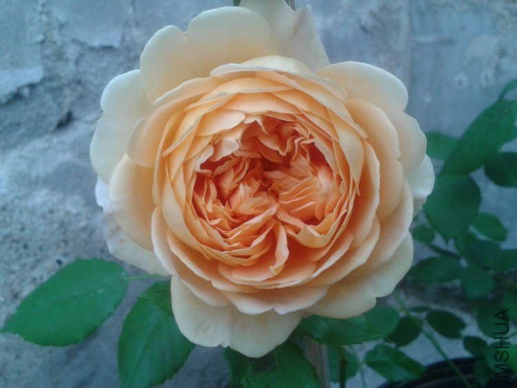 2012-05-02 06.52.18.jpg