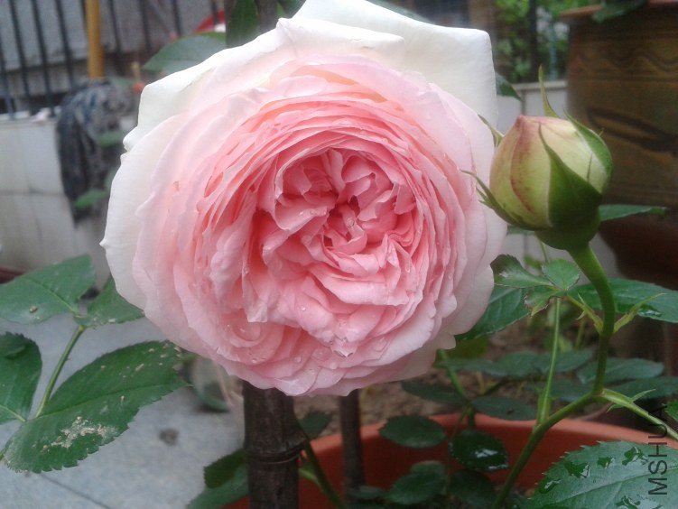 2012-05-01 08.05.52.jpg