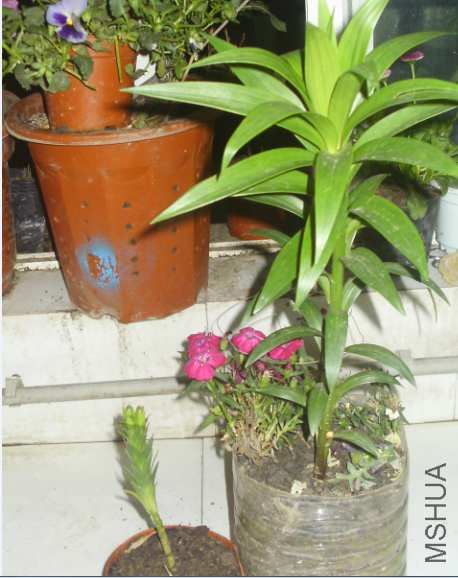 QQ��ͼ20120503203154.png