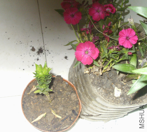 QQ��ͼ20120503203226.png