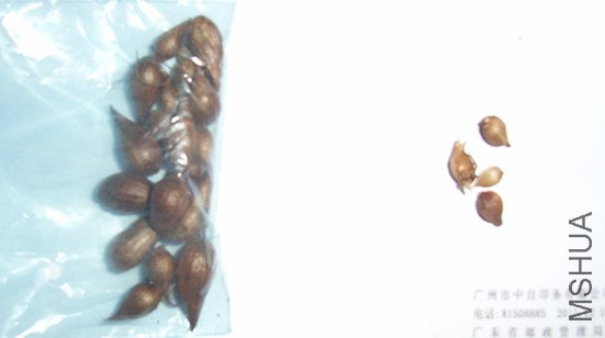 RIMG0102_����.jpg
