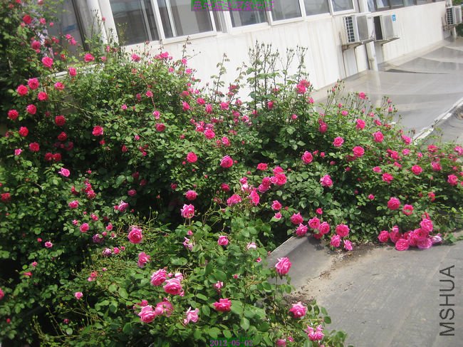 nEO_IMG_��Ƭ 224.jpg